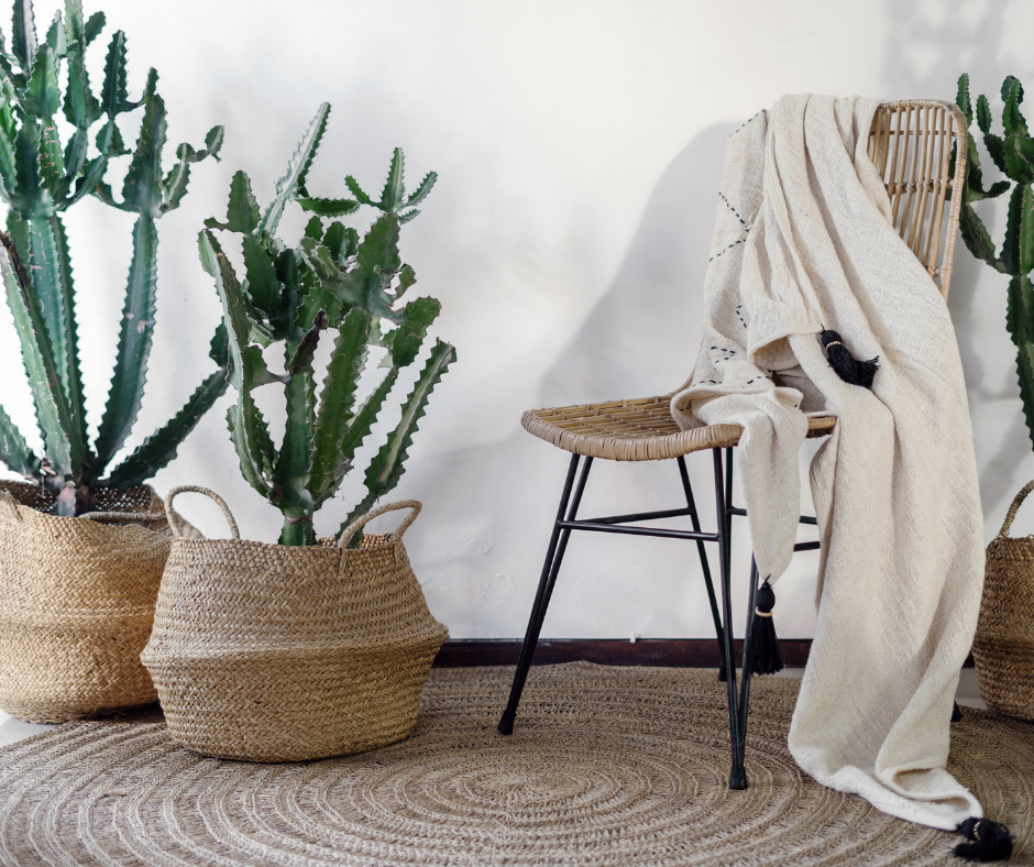 home textures and plants
